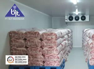 Sistem Refrigerasi Cold Storage Frozen Meat